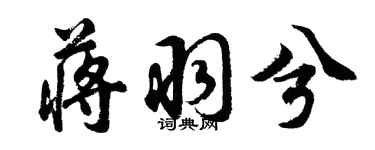 胡問遂蔣羽兮行書個性簽名怎么寫