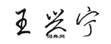 駱恆光王興寧行書個性簽名怎么寫