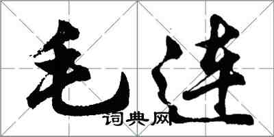 胡問遂毛連行書怎么寫