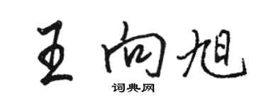 駱恆光王向旭行書個性簽名怎么寫