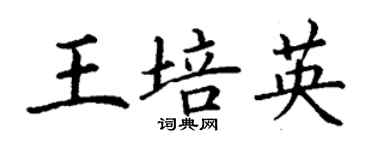 丁謙王培英楷書個性簽名怎么寫