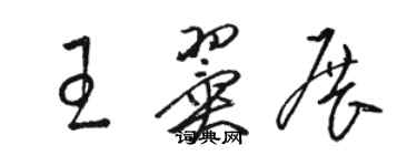 駱恆光王翼展草書個性簽名怎么寫