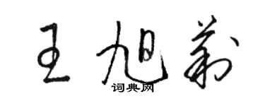 駱恆光王旭莉草書個性簽名怎么寫