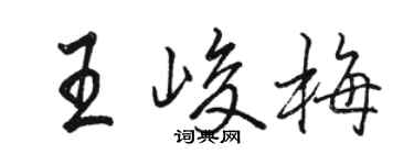 駱恆光王峻梅行書個性簽名怎么寫