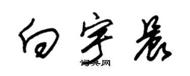 朱錫榮向宇晨草書個性簽名怎么寫