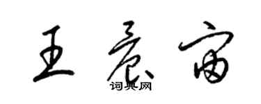 梁錦英王晨宙草書個性簽名怎么寫