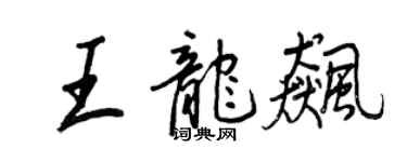 王正良王龍飆行書個性簽名怎么寫
