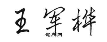 駱恆光王軍樺行書個性簽名怎么寫