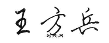 駱恆光王方兵行書個性簽名怎么寫