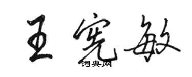 駱恆光王憲敏行書個性簽名怎么寫