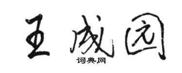 駱恆光王成園行書個性簽名怎么寫