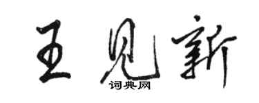 駱恆光王見新行書個性簽名怎么寫