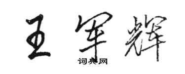 駱恆光王軍輝行書個性簽名怎么寫