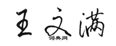 駱恆光王文滿行書個性簽名怎么寫