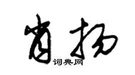 朱錫榮肖揚草書個性簽名怎么寫