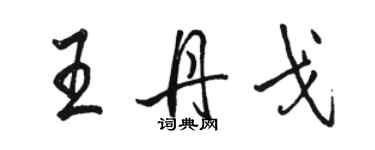 駱恆光王丹戈行書個性簽名怎么寫