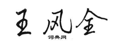 駱恆光王風全行書個性簽名怎么寫