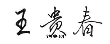 駱恆光王貴春行書個性簽名怎么寫