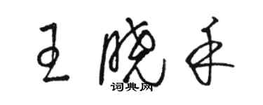 駱恆光王曉禾草書個性簽名怎么寫