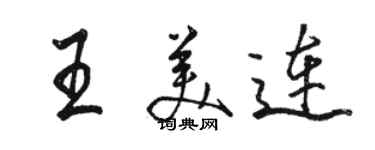 駱恆光王美連行書個性簽名怎么寫