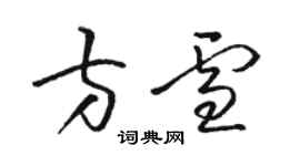 駱恆光方雪草書個性簽名怎么寫