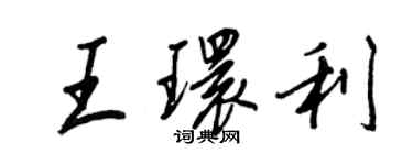 王正良王環利行書個性簽名怎么寫