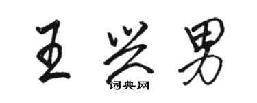 駱恆光王興男行書個性簽名怎么寫