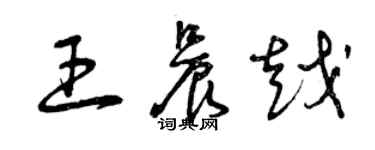 曾慶福王晨越草書個性簽名怎么寫