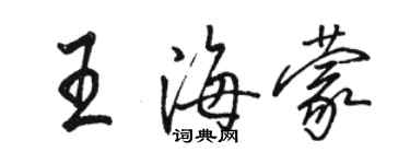 駱恆光王海蒙行書個性簽名怎么寫