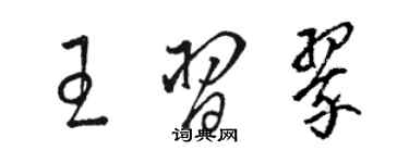 駱恆光王習翠草書個性簽名怎么寫