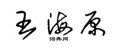 朱錫榮王海原草書個性簽名怎么寫