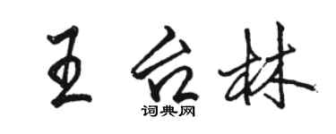 駱恆光王台林行書個性簽名怎么寫