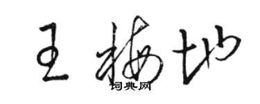 駱恆光王梅地草書個性簽名怎么寫