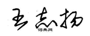 朱錫榮王志揚草書個性簽名怎么寫