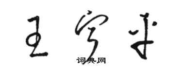 駱恆光王寧平草書個性簽名怎么寫