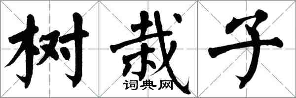 翁闓運樹栽子楷書怎么寫