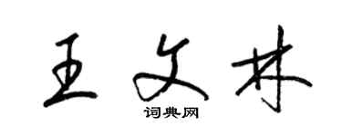 梁錦英王文林草書個性簽名怎么寫