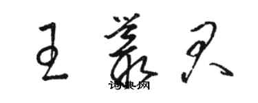 駱恆光王叢君草書個性簽名怎么寫