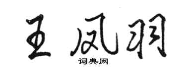 駱恆光王鳳羽行書個性簽名怎么寫