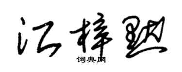 朱錫榮江梓默草書個性簽名怎么寫