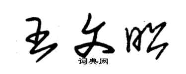 朱錫榮王文昭草書個性簽名怎么寫