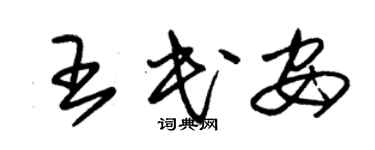 朱錫榮王民安草書個性簽名怎么寫