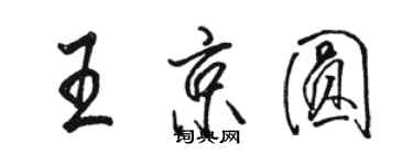 駱恆光王京圓行書個性簽名怎么寫