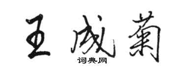 駱恆光王成菊行書個性簽名怎么寫