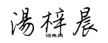 王正良湯梓晨行書個性簽名怎么寫