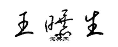 梁錦英王曝生草書個性簽名怎么寫