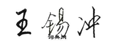 駱恆光王錫沖行書個性簽名怎么寫