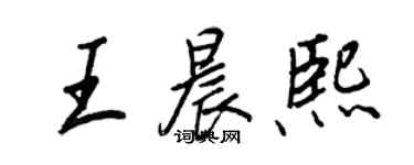 王正良王晨熙行書個性簽名怎么寫