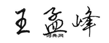 駱恆光王孟峰行書個性簽名怎么寫