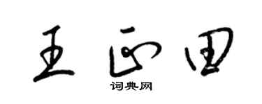 梁錦英王正田草書個性簽名怎么寫